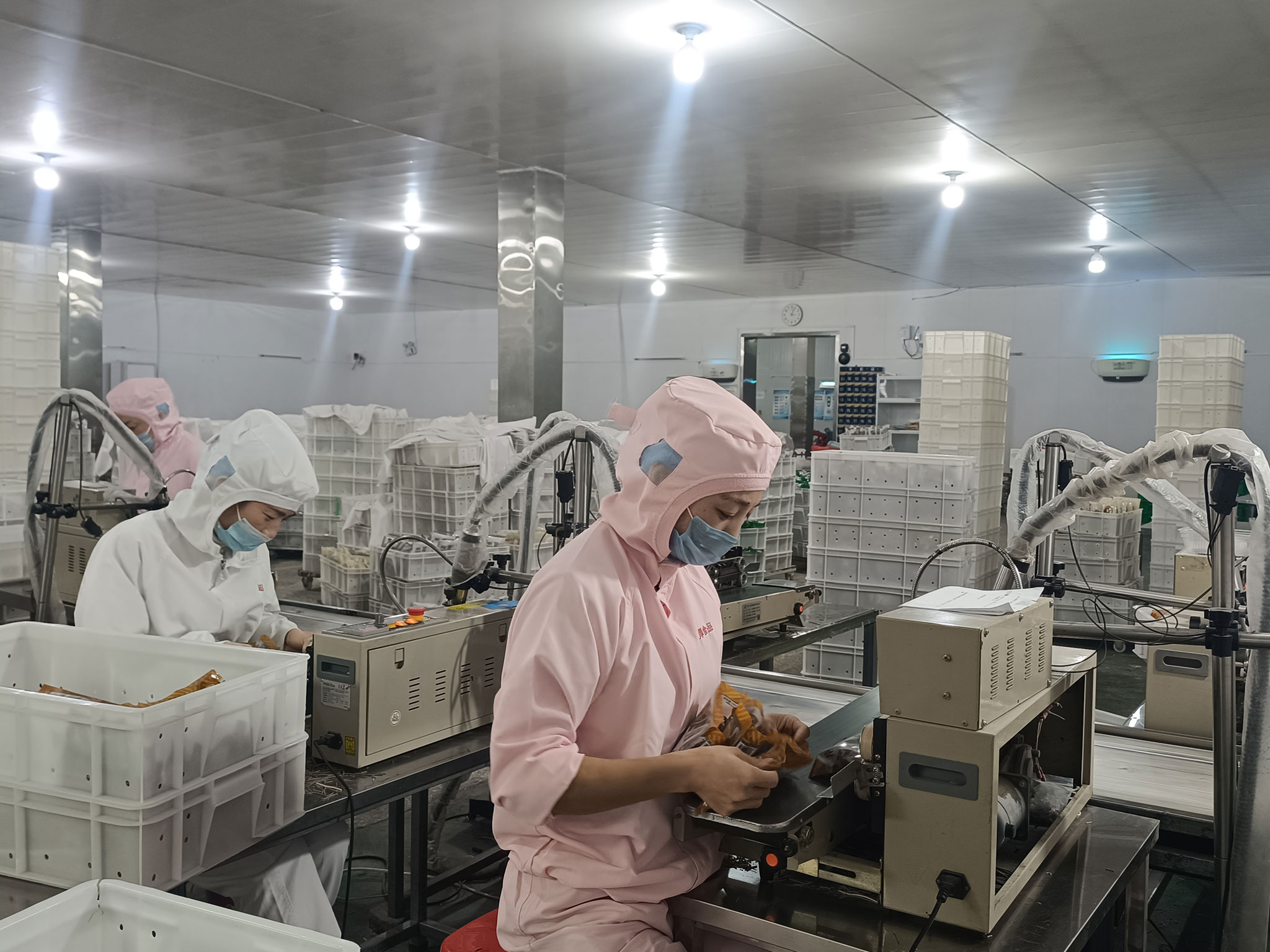 Fresh noodle production process2